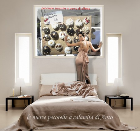 Pecorelle a Calamita