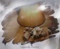 /album/immagini-prodotti/d259067a-o-jpeg/